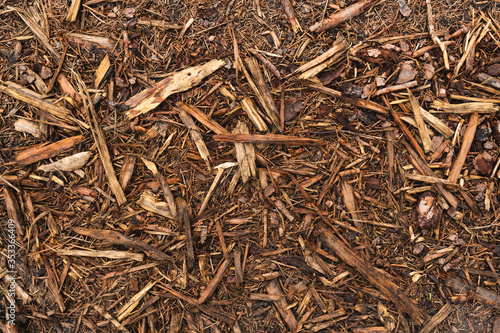 Bark chips, mulch on forest ground, texture background