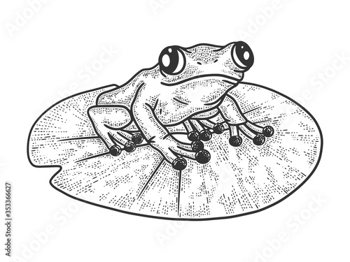 frog on a leaf of a water lily sketch engraving vector illustration. T-shirt apparel print design. Scratch board imitation. Black and white hand drawn image. photo