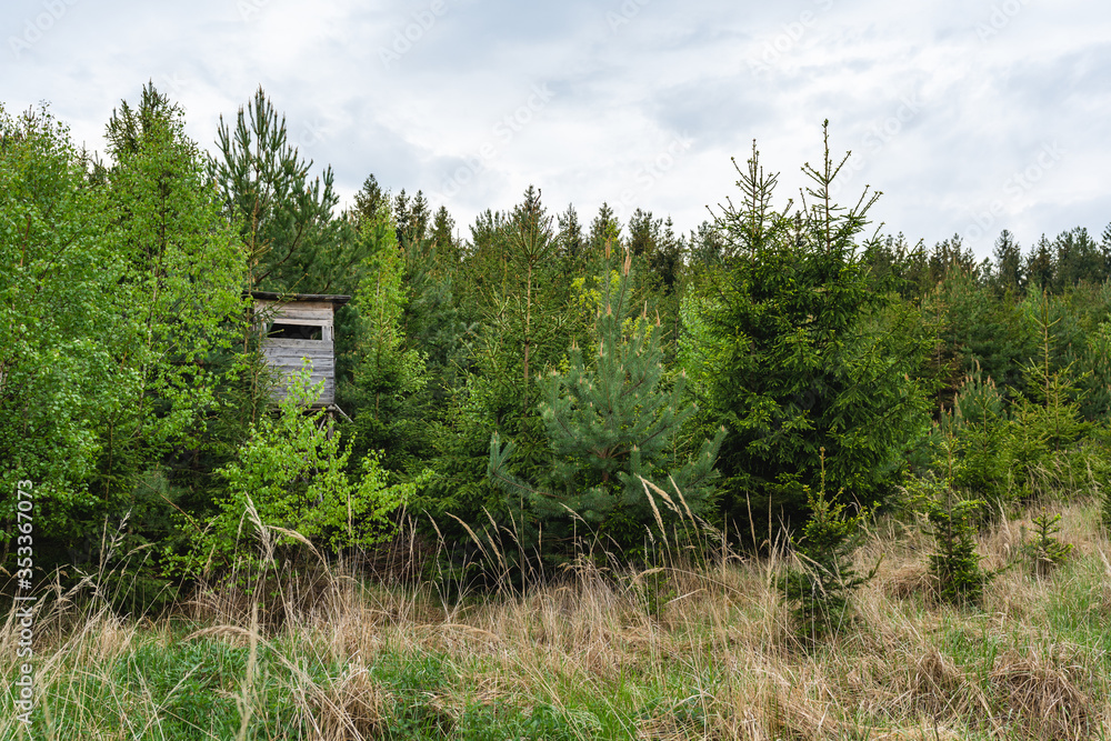 Hunter's stand hidden in forest, spring time Hunter's stand hidden in forest, spring time