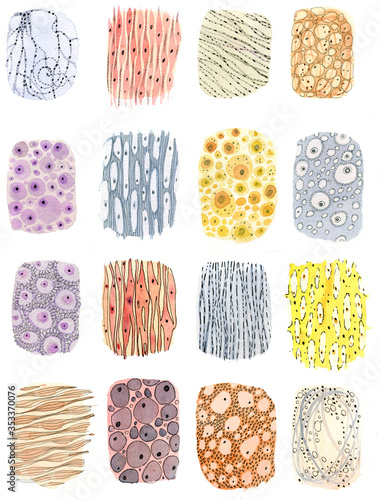 Cell textures, watercolor medical illustration, body cells. Muscle tissue, nerve cells, adipose tissue and others