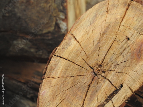 wooden texture