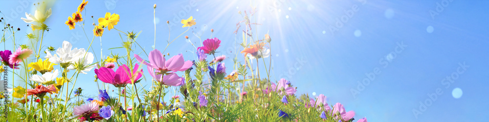 Colorful wild flower meadow with blue sky and sun rays with bokeh lights - floral summer background banner with copy space
