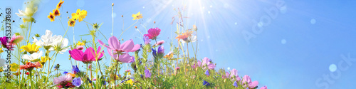 Colorful wild flower meadow with blue sky and sun rays with bokeh lights - floral summer background banner with copy space 