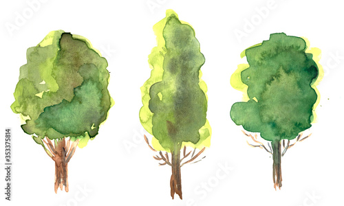 Watercolor green trees on white background for wallpaper and textile