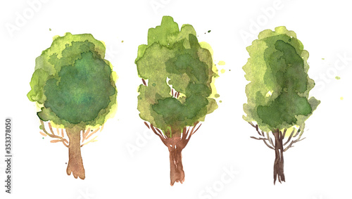 Watercolor green trees on white background for wallpaper and textile