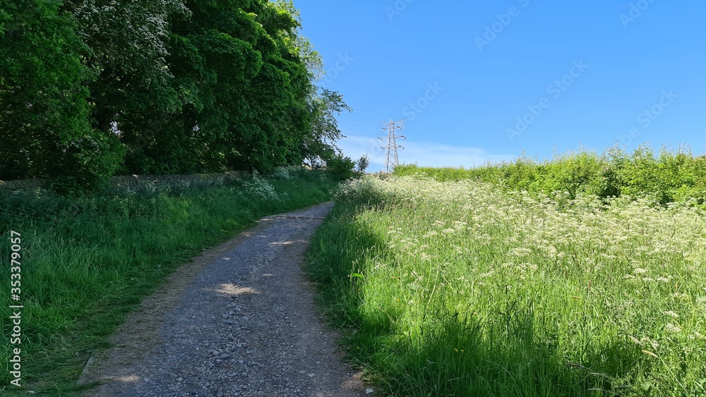 Obraz premium path in the field