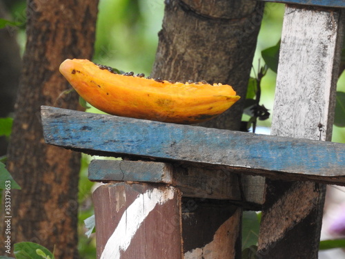 Papaya On wooden Bench