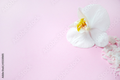 Spa cosmetic and Beauty concept, top view. Flat lay composition with white spa sea salt and white orchid with space for text on pink background. Meditation and minimalism. copyspase flatlay.