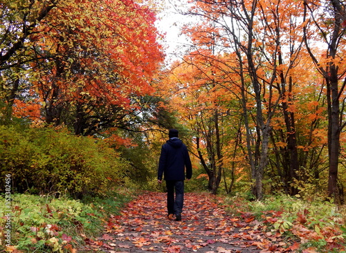 A man walks in the autumn Park © Olena Romanova