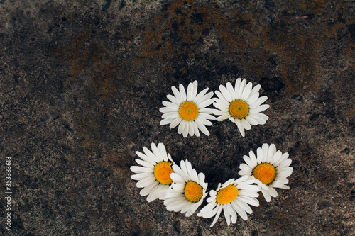 positive cheerful smiley made of white daisies on a background of dark stone texture