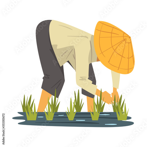 Asian Farmer in Straw Conical Hat Caring for Plants on Paddy Field Cartoon Style Vector Illustration on White Background