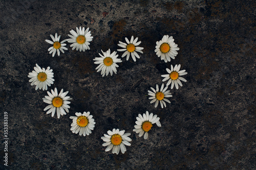 heart made of white daisies on a background of gray stones