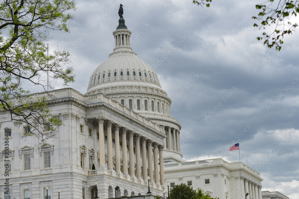 Obraz premium U.S. Capitol Building - Washington D.C. United States of America