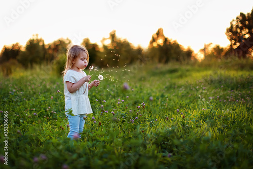 A little girl blows away dandelions in the summer in the field. Beautiful child blowing away dandelion flower. Happy child enjoys hot summer