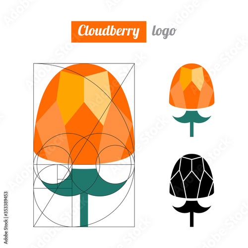 Cloudberry  logo, icon, berry vector illustration. Flat cloudberry logo, icon design for food. Golden ratio.