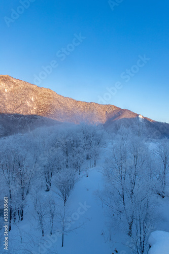 北海道冬の風景 富良野市の樹氷