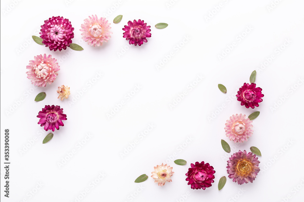 Mock up. Eucalyptus leaves and dry flowers on white background Mock up. Eucalyptus leaves and dry flowers on white background