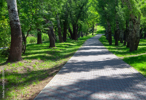 Fototapeta Naklejka Na Ścianę i Meble -  walking in the summer park at pedestrian path 