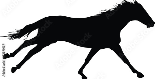 A vector silhouette of a horse running.