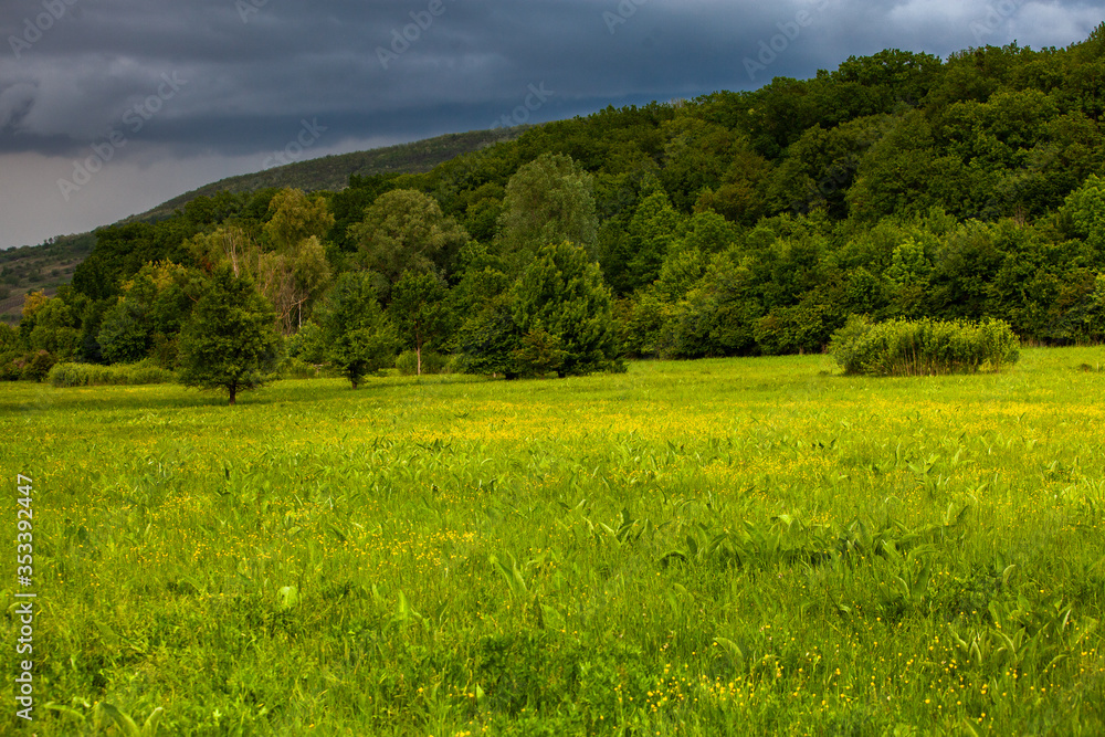 Beautiful summer landscape in Republic of Moldova. Green landscape. Spring Nature. Park with Green Grass and Trees. Grassy field and rolling hills. rural scenery. 