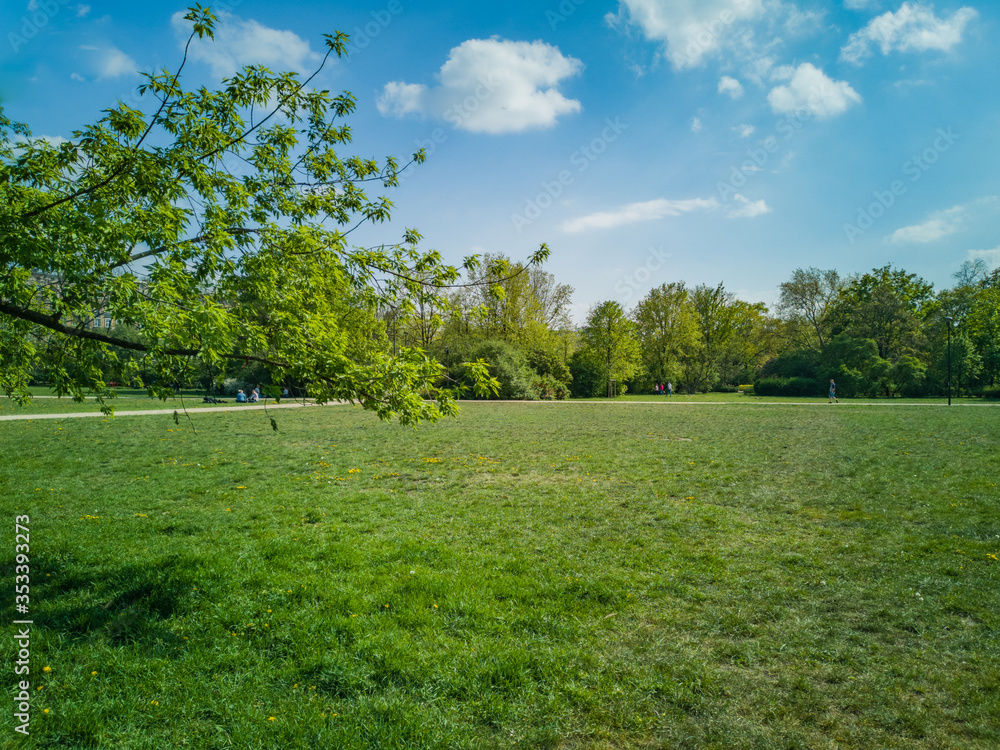 Green clearing in park with walking people, trees around and branch in front of