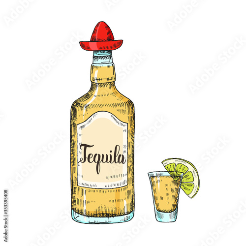 Mexican Food and drink. Hand drawn tequila with wineglass and lime in sketch style isolated on white. Hand made lettering. Vector engraving illustration for menu designs.