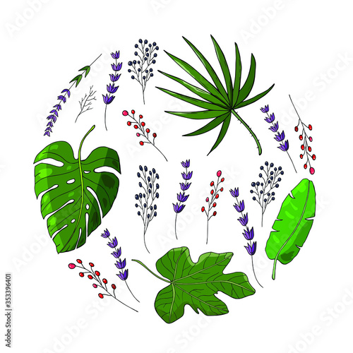 colored tropical leaves circle. Banana leaf vector with monstera leaf and fan palm leaf with fig leaf. Elderberry branch and lavender branch. Floral elements for designing cards and invitations.
