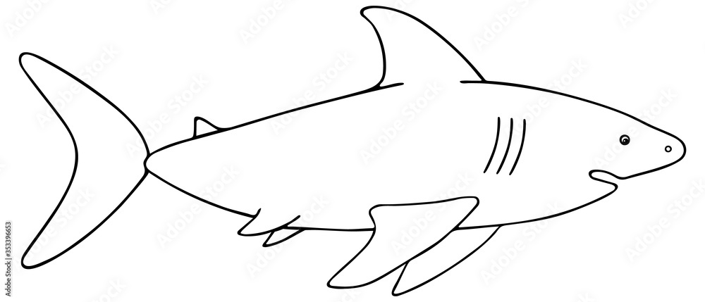 Shark. Vector illustration. Outline on a white isolated background. Large predatory sea fish. Hand drawing style. Sketch. Coloring book for children and adults. Underwater monster with toothy jaw. Shark. Vector illustration. Outline on a white isolated background. Large predatory sea fish. Hand drawing style. Sketch. Coloring book for children and adults. Underwater monster with toothy jaw.