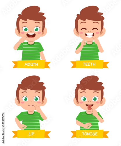 happy cute kid boy study body part anatomy