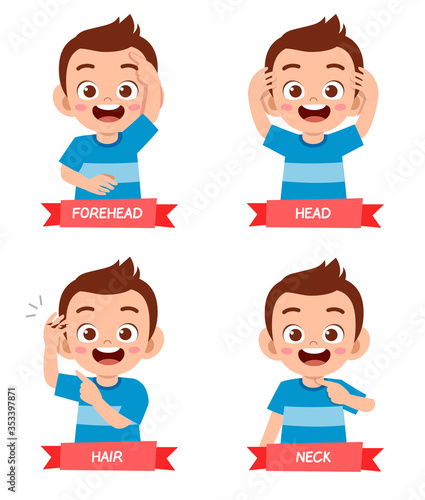 happy cute kid boy study body part anatomy