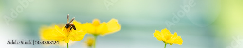 Nature of flower and bee in garden using as cover page background natural flora wallpaper or template brochure landing page design