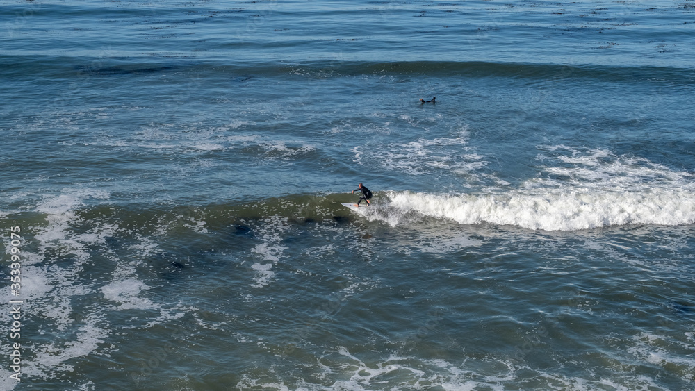 surfer in the sea and waves at San Luis Obispo, California surfer in the sea and waves at San Luis Obispo, California