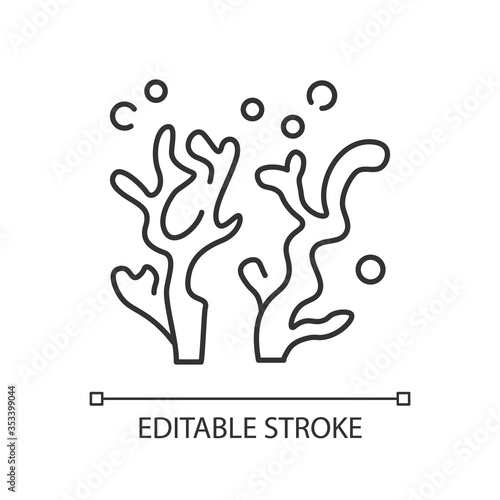 Oceanology pixel perfect linear icon. Natural science discipline, sea life researching Thin line customizable illustration. Contour symbol. Coral Vector isolated outline drawing. Editable stroke