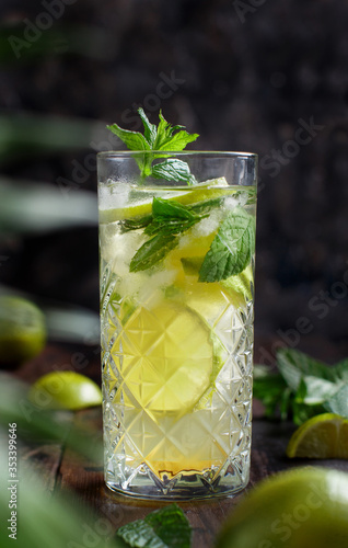 Φωτογραφία Homemade refreshing mojito cocktail in a tall glass