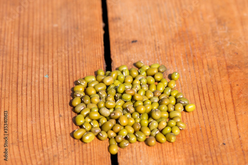 peas mash. mung bean. 