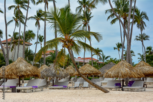 Sunbeds with towels on a sandy beach under beautiful colorful tropical palm trees and blue sky. Copy space