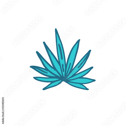 agave doodle icon