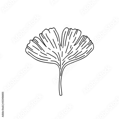 gingko leaf doodle icon