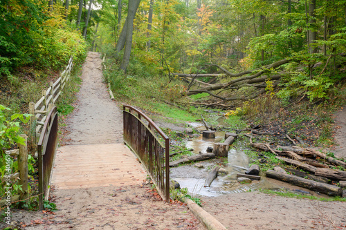 Photography A small bridge crosses Ames Creek in Glen Stewart Ravine, located in the Beaches neighbourhood of Toronto, Canada