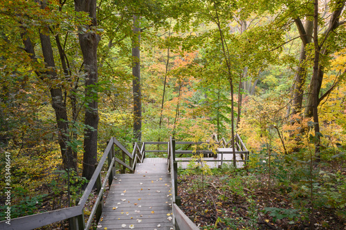 A stairway into Glen Stewart Ravine, accented by autumn colours, in the east end Beaches community of Toronto, Canada.