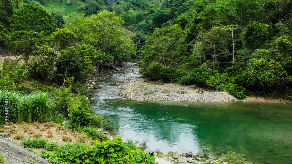 typical Vietnamese landscape in spring with rice fields