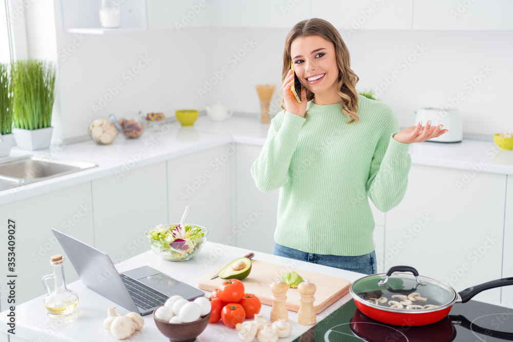 Portrait of her she nice attractive lovely cheerful girl cooking vegs meal dish using laptop talking on phone discussing recipe delicatessen hobby in modern light white kitchen house