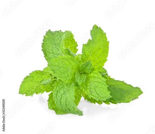 mint leafs isolated on a white background