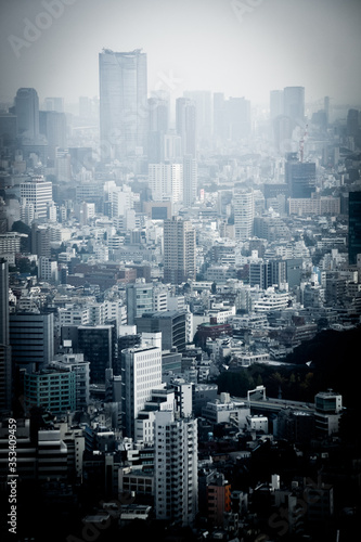 東京都庁展望台から見える東京の街並み