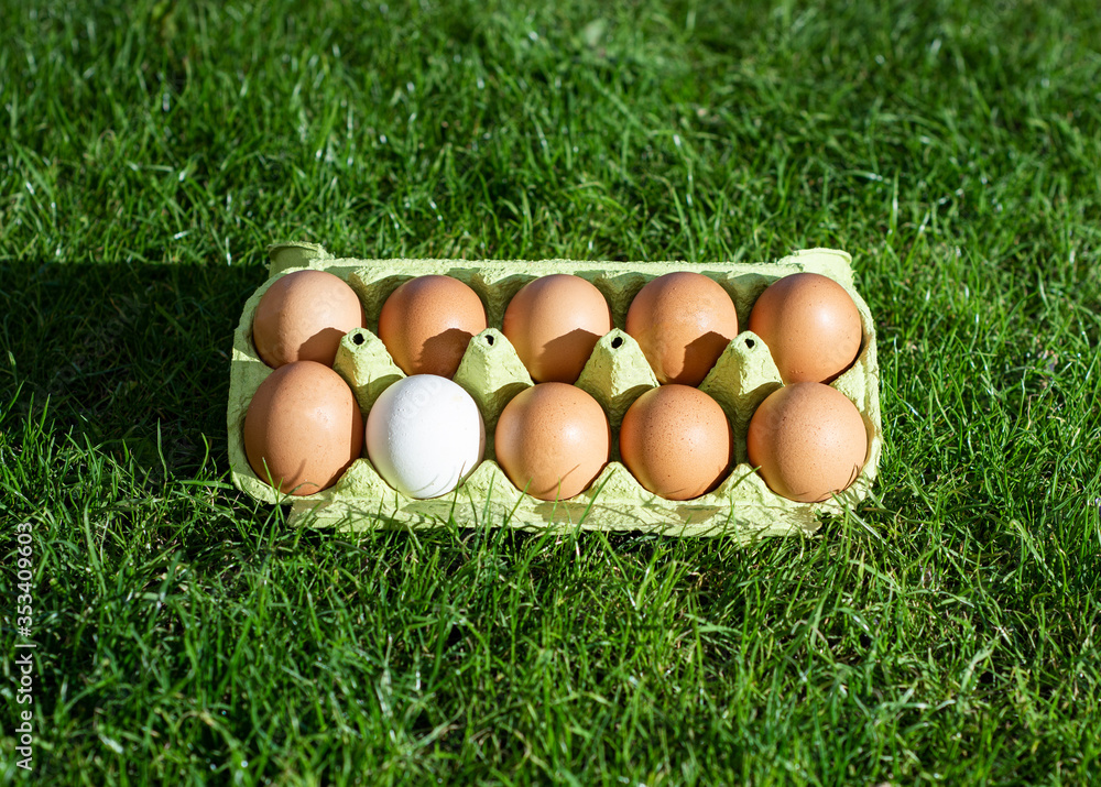 Fresh chicken eggs in a paper box on a background of green grass Fresh chicken eggs in a paper box on a background of green grass