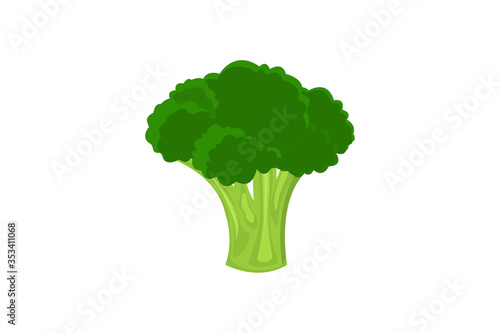 Fresh broccoli icon. 