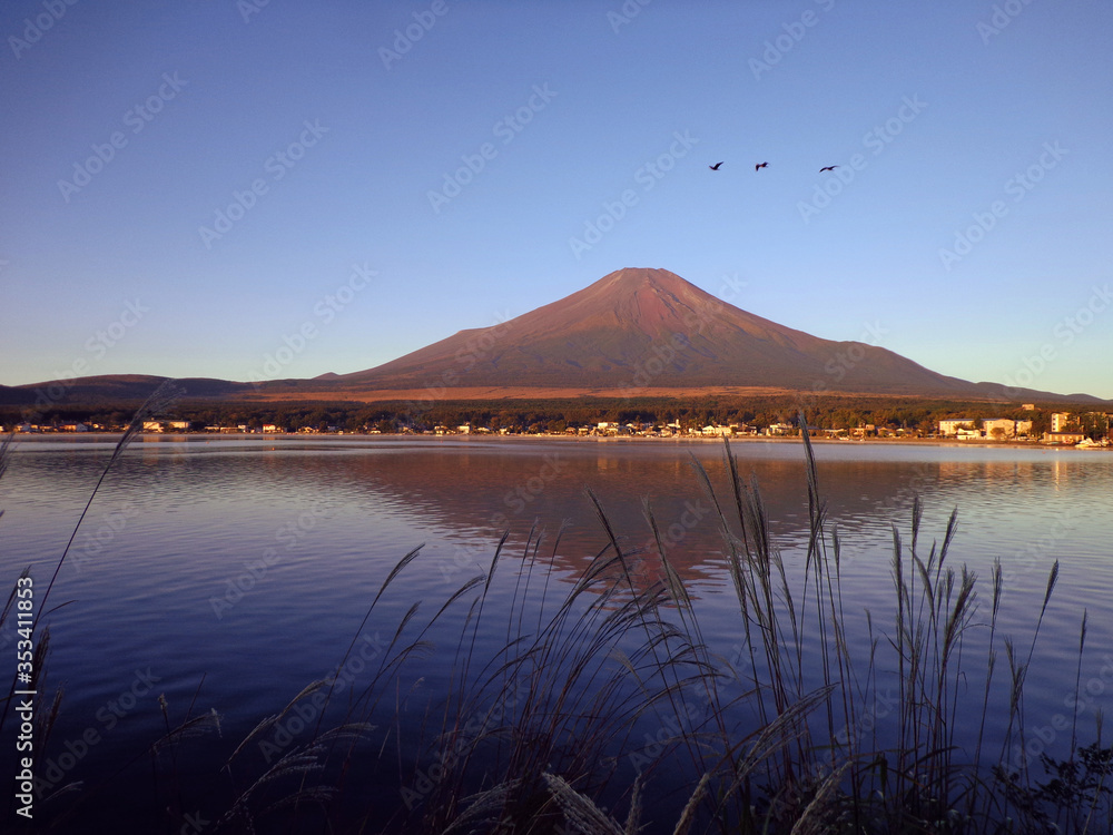 Mt.Fuji in autumn