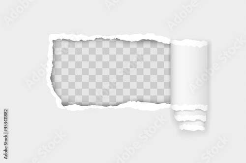 torn paper edge for design with transparent space template vector illustration