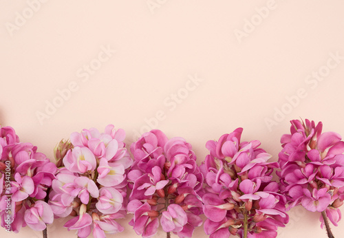 flowering branch Robinia neomexicana on a beige background photo