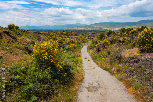 Landscape with road